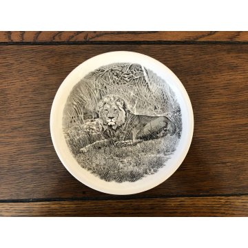 SET PIATTI CERAMICA 16 pz Wedgwood Etruria Barleston Kruger WWF PANDA VINTAGE UK