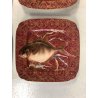 SET 6 PIATTI PESCE VINTAGE PORCELLANA LIMOGES D&C° FRANCE QUADRATI ROSSO ORO