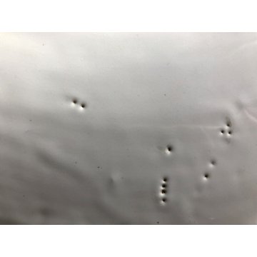 PIATTO PARATA CERAMICA CCIM Faenza DECORO PROFILO RITRATTO RINASCIMENTALE '900