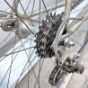 BICICLETTA CORSA Coppi Giro Italia ANNI 70 VINTAGE cambio CAMPAGNOLO 3ttt NISI