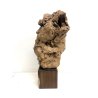 ANTICA SCULTURA TERRACOTTA Nico Venzo FIGURA GIOVANE DONNA ROMANTICISMO '900