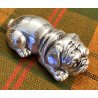BELLISSIMA GRANDE FIBBIA per cintura BULLDOG CARLINO scultura CANE belt buckle