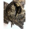CALAMAIO PORTA INCHIOSTRO INKWELL CANE da CACCIA ANATRA VITTORIANO PATINA '800
