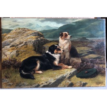 ANTICO DIPINTO OLIO J. C. Dollman PAESAGGIO RITRATTO CANE ENGLISH SETTER DOG '34