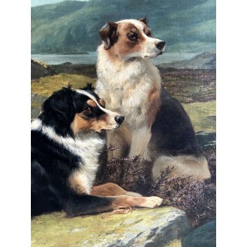 ANTICO DIPINTO OLIO J. C. Dollman PAESAGGIO RITRATTO CANE ENGLISH SETTER DOG '34