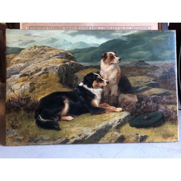 ANTICO DIPINTO OLIO J. C. Dollman PAESAGGIO RITRATTO CANE ENGLISH SETTER DOG '34
