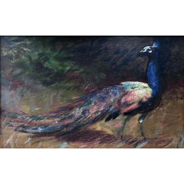 Yeesam Art Dipinto Ad Olio Fai Da Te Con Numeri - Kit 40x50cm Con Cornice - Pavone E Farfalla - Pittura Per Adulti E Bambini Principianti Con Pennelli E Lente - 2