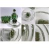 COPPIA Vanity Bottle VETRO MURANO Barovier&Toso TRASPARENTE VERDE FOGLIA ORO '40
