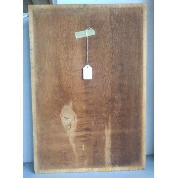 QUADRO RITRATTO DIPINTO OLIO TAVOLA Zanale Giacomi ? SOLDATO MILITARE GRADI 1947