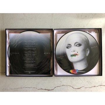 Rarissimo! MINA PICTURE BOX Vol. 1 DISCO VINILE ED. LIMITATA 87/500 N° 10 LP 33
