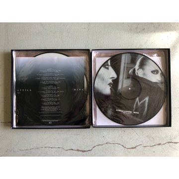 Rarissimo! MINA PICTURE BOX Vol. 1 DISCO VINILE ED. LIMITATA 87/500 N° 10 LP 33