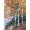 QUADRO DIPINTO OLIO TELA Pallanza PAESAGGIO BOSCO BETULLE LAGO CREPUSCOLO 1948