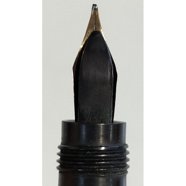 Penna stilografica retrattile: inchiostro blu e nero da 0,38 mm, corpo trasparente, include 5 cartucce d'inchiostro ricaricabili, scrittura fluida