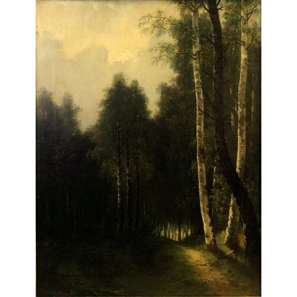 Tosi: «Ho Calibro 45 Sul Comodino, Se Entrano Ladri In Casa Sparo Al Corpo - Foto 7