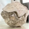 ENORME TRIDACNA GIGAS NATURALE CONCHIGLIA GIGANTE 200 KG FOSSILE SHELL 89x62x60
