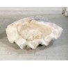 ENORME TRIDACNA GIGAS NATURALE CONCHIGLIA GIGANTE 200 KG FOSSILE SHELL 89x62x60