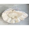 ENORME TRIDACNA GIGAS NATURALE CONCHIGLIA GIGANTE 200 KG FOSSILE SHELL 89x62x60