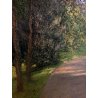 QUADRO DIPINTO OLIO TAVOLA PAESAGGIO Serafino Verazzi BOSCO LAGO MAGGIORE '800