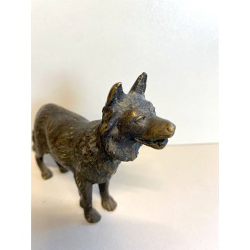 SCULTURA TUTTOTONDO BRONZO FIGURA RAFFIGURANTE UN CANE ITALIA BRONZE