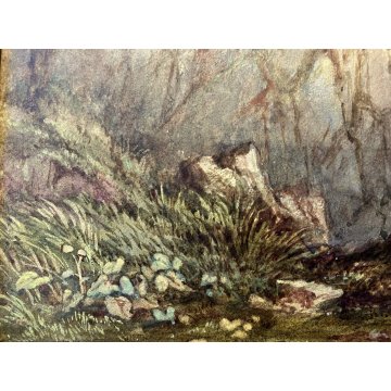 QUADRO ACQUERELLO Maria Gastineau "In the gap of Dunloe" PAESAGGIO IRLANDA 1869