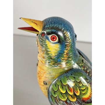 GIOCATTOLO LATTA UCCELLINO CANTERINO SONGBIRD TIN TOY Köhler (?) Germany '50s