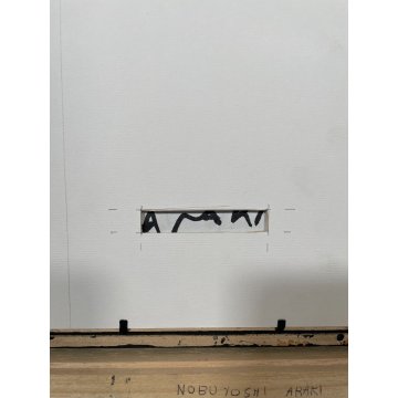 FOTO ARTISTICA EROTICA POLAROID NUBUYOSHI ARAKI GIAPPONE QUADRO NUDO DONNA '60
