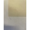 STAMPA MULTIPLO ACQUAFORTE ACQUATINTA Renato Guttuso N° 25/99 FIGURA NUDO DONNA