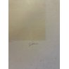 STAMPA MULTIPLO ACQUAFORTE ACQUATINTA Renato Guttuso N° 25/99 FIGURA NUDO DONNA