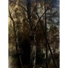 ANTICO DIPINTO OLIO Louis B. Hurt PAESAGGIO SELVA BOSCO FIGURE TARDO AUTUNNO 900