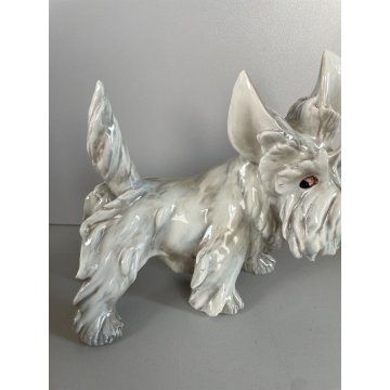 CANE GUIDO CACCIAPUOTI PORCELLANA DOG SCULTURA ANIMALE FIRMATO ITALY ANNI '60