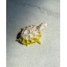 SCULTURA ZOOMORFA CERAMICA Carla Tolomeo TARTARUGA ZOO FANTASTICO SMALTO GIALLO