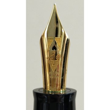 Delta DOLCE VITA 20° ANNIVERSARIO Lim. Edition PENNA STILOGRAFICA Fountain Pen