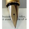 LAMY Lady PORCELLANA Rosenthal Special Edition PENNA STILOGRAFICA Fountain Pen