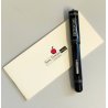 Delta ISAAC NEWTON Lim. Edition PENNA STILOGRAFICA Argento 925 FOUNTAIN PEN leva