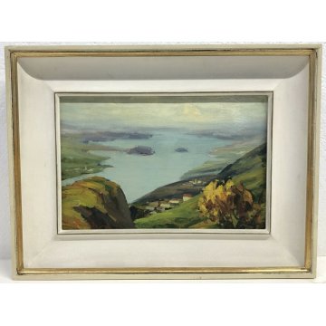 ANTICO QUADRO DIPINTO OLIO TELA PAESAGGIO LAGO ORTA PINO PESSINA DA CASTANEDO 