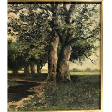 ANTICO QUADRO DIPINTO OLIO TELA ALBERI PRATO NATURA PAESAGGIO ALFREDO CASSONE 