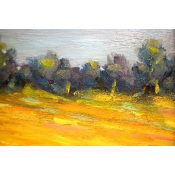 ANTICO PICCOLO QUADRO DIPINTO OLIO TAVOLA U. Caligaris PAESAGGIO CAMPAGNA BIELLA