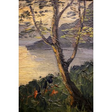 ANTICO PICCOLO QUADRO OLIO TAVOLA Bartolotto Nando PAESAGGIO LAGO TRAMONTO '900