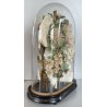 ANTICA TECA VETRO CAMPANA BASE LEGNO COMPOSIZIONE NUZIALE Globe de Mariage 43 cm