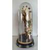 ANTICA TECA VETRO CAMPANA BASE LEGNO COMPOSIZIONE NUZIALE Globe de Mariage 43 cm