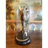 ANTICA TECA VETRO CAMPANA BASE LEGNO COMPOSIZIONE NUZIALE Globe de Mariage 43 cm