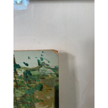 QUADRO DIPINTO OLIO TAVOLA Ciro Canzanella VEDUTA SCORCIO CORTILE FIORITO '900