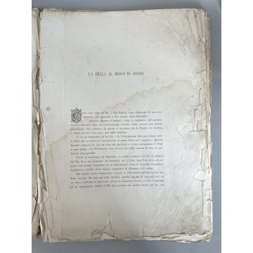 ANTICO VOLUME Il libro delle Fate CARLO PERRAULT DISEGNI GUSTAVO DORE FIABE 1891