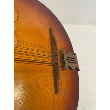 ANTICO MANDOLINO RUSSO LEGNO STRUMENTO MUSICALE EPOCA '900 CASSA PIATTA