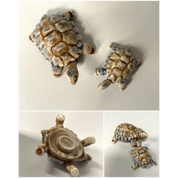 COPPIA TARTARUGHE PORCELLANA Wade FIGURINE ENGLAND TORTOISE TURTLE VINTAGE '900