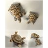 COPPIA TARTARUGHE PORCELLANA Wade FIGURINE ENGLAND TORTOISE TURTLE VINTAGE '900
