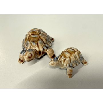 COPPIA TARTARUGHE PORCELLANA Wade FIGURINE ENGLAND TORTOISE TURTLE VINTAGE '900