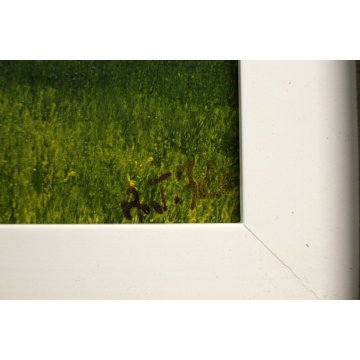 QUADRO DIPINTO OLIO TAVOL Antonio Zale PAESAGGIO FIGURA DONNA ROSSO COLLINE 1973