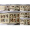 RARO ALBUM FIGURINE Liebig TORO 2 MANCANTI 100 serie 2 incomplete Primo '900