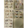 RARO ALBUM FIGURINE Liebig TORO 2 MANCANTI 100 serie 2 incomplete Primo '900
